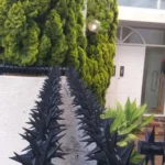 Double horizontal wall top spikes